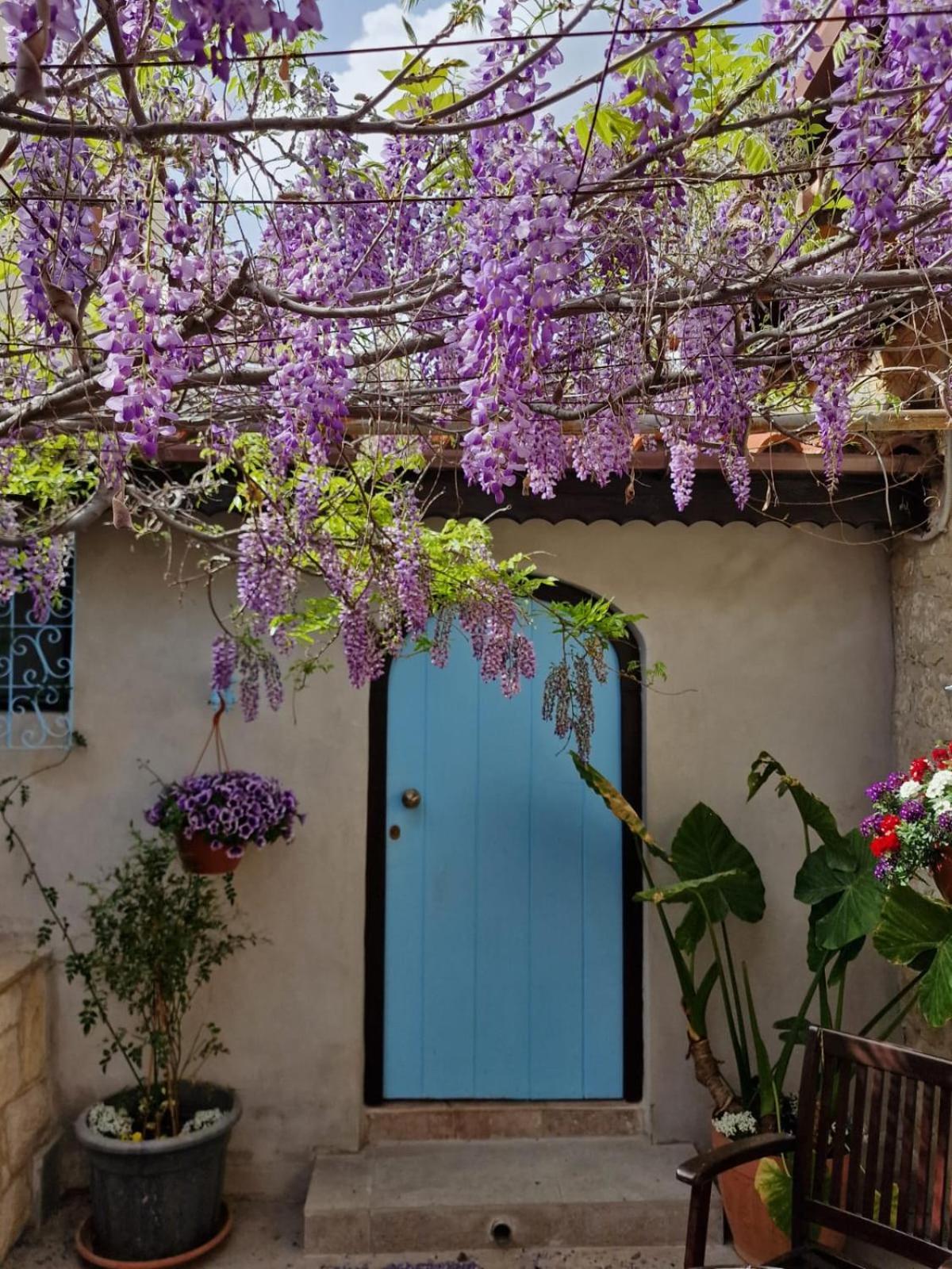 Kalimera A Lovely 1-Bedroom Rental With Ensuite And Kitchen Limassol Exterior foto